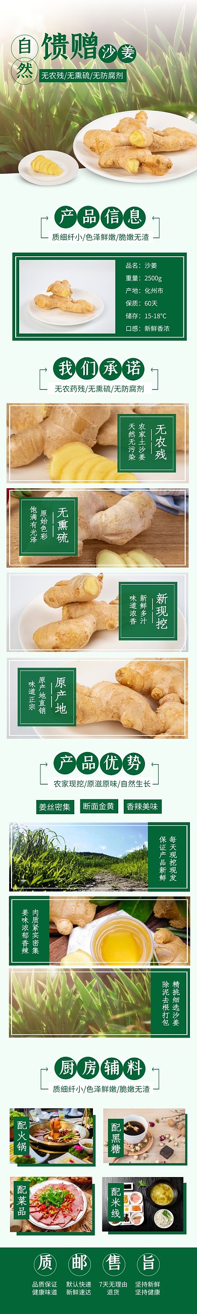 电商美食调味沙姜生姜简约绿色详情页