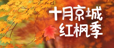 十月枫叶旅行出行秋天公众号封面首图