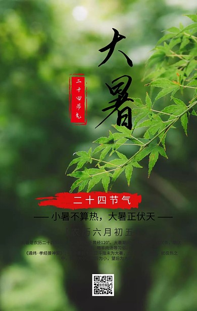 大暑二十四节气宣传手机海报