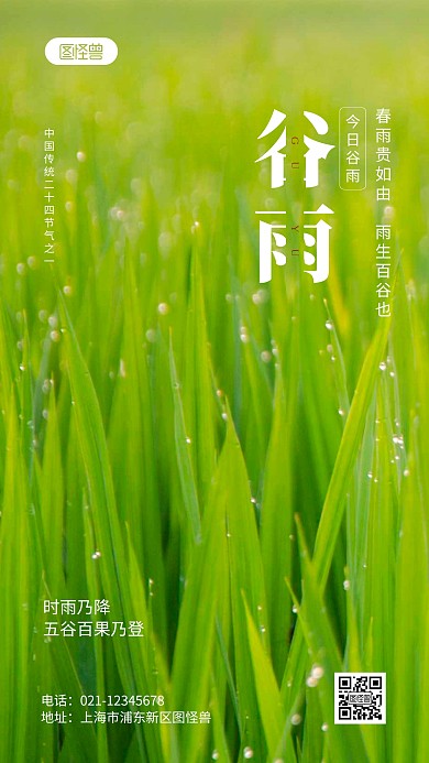 谷雨传统节气摄影图海报