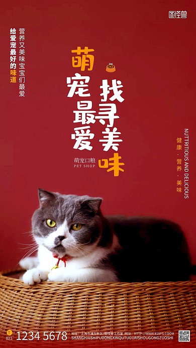 宠物店产品介绍海报宠物美食促销摄影图海报