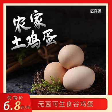 鸡蛋特价淘宝红色简约主图直通车