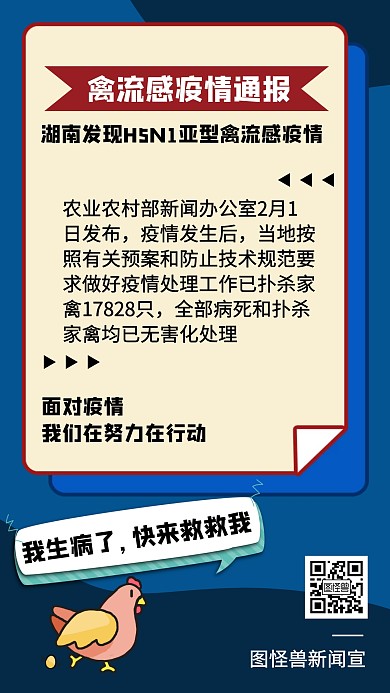 H5N1禽流感疫情通报宣传手机海报