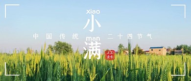 小满中国传统节气简约摄影公众号封面首图