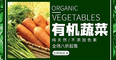 有机蔬菜简约绿色轮播图电商海报