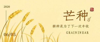 简约芒种节气问候祝福公众号封面首图