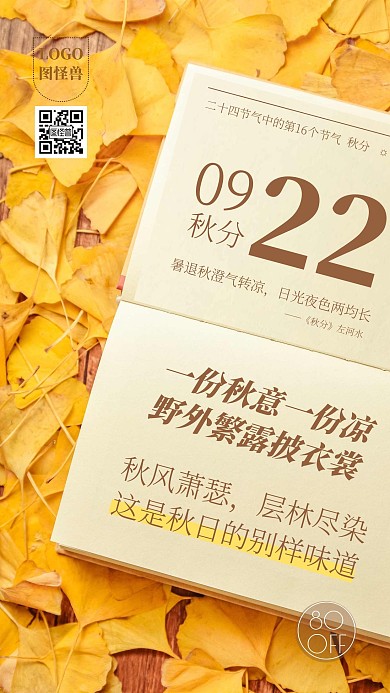 摄影风秋风节气服饰鞋帽借势促销海报