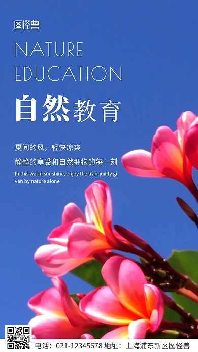 简约风白色自然教育宣传摄影图海报