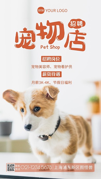 宠物店招聘简约摄影图海报