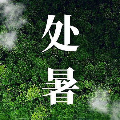 创意处暑传统节气品牌借势公众号封面次图