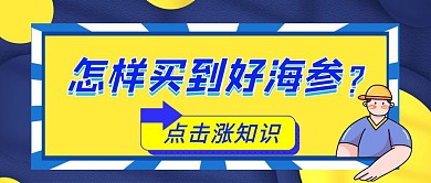 蓝色黄色买海参科普知识公众号封面首图