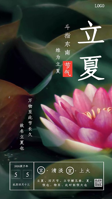 立夏节气祝福荷花简约手机海报