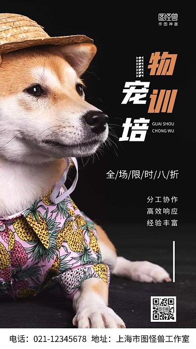 摄影图宠物训练服务白色简约风手机海报