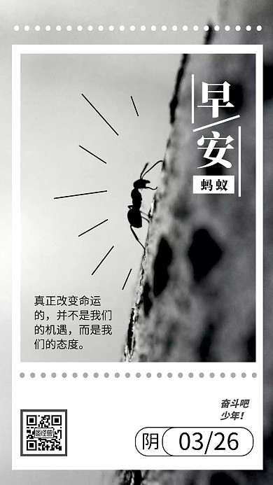 蚂蚁早安灰色简约风日签