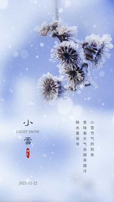 简约清新小雪节气问候摄影图海报