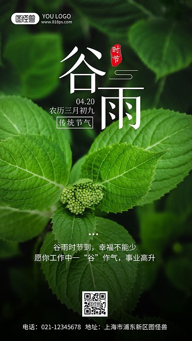 谷雨节气祝福摄影风手机海报