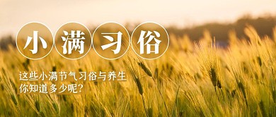 麦田地小满节气习俗公众号封面