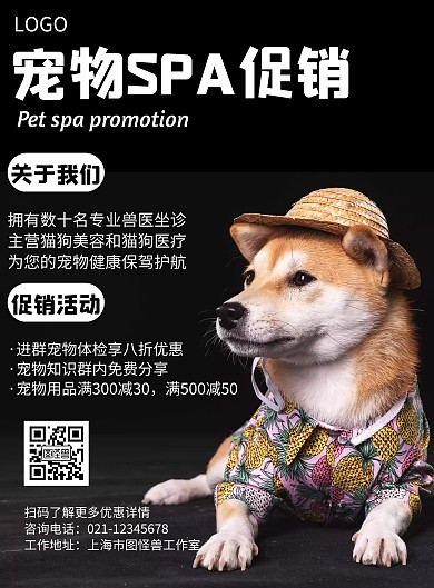 宠物SPA促销几何风格宣传海报