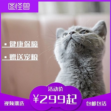 宠物大气紫色宠物宣传淘宝主图