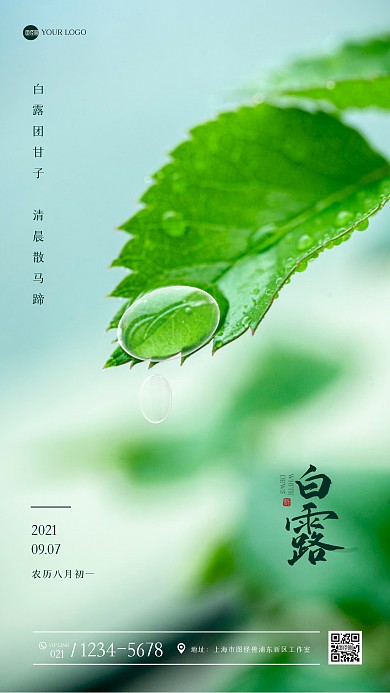 绿色清新白露祝福手机海报
