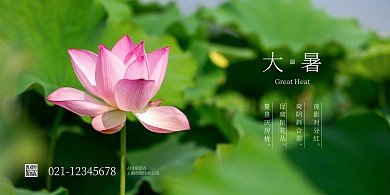 大暑节气祝福问候清新简约横版海报