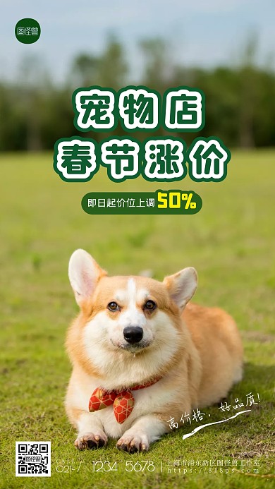 简约绿色宠物店春节涨价通知摄影图海报