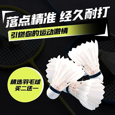 电商户外运动健身球类羽毛球主图