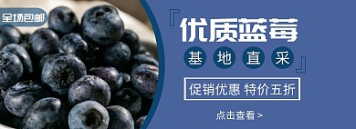 轮播图优惠政策蓝色水果简约电商海报