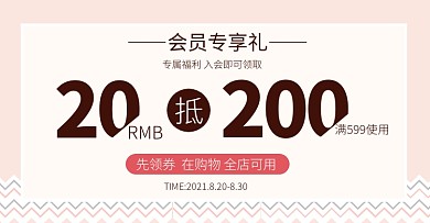 会员优惠券简约电商横版banner