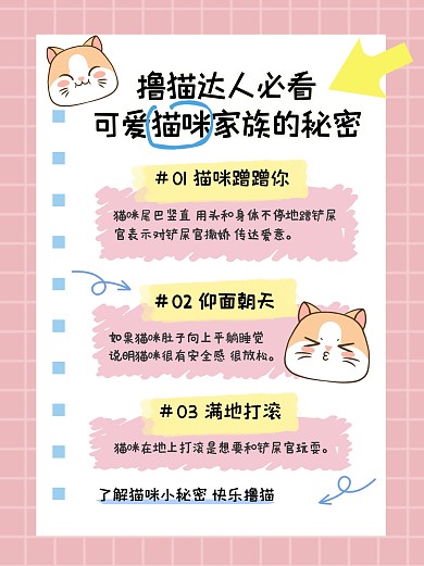 宠物猫咪知识科普宣传创意小红书