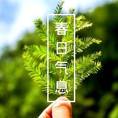 简约摄影春日气息公众号次图