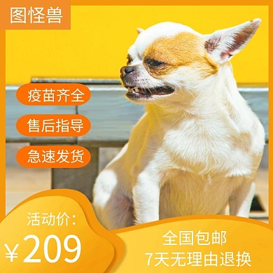 创意宠物淘宝商品主图直通车