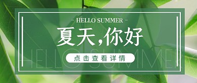 你好夏天散文植物摄影简约公众号封面首图