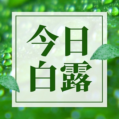 今日白露公众号次图