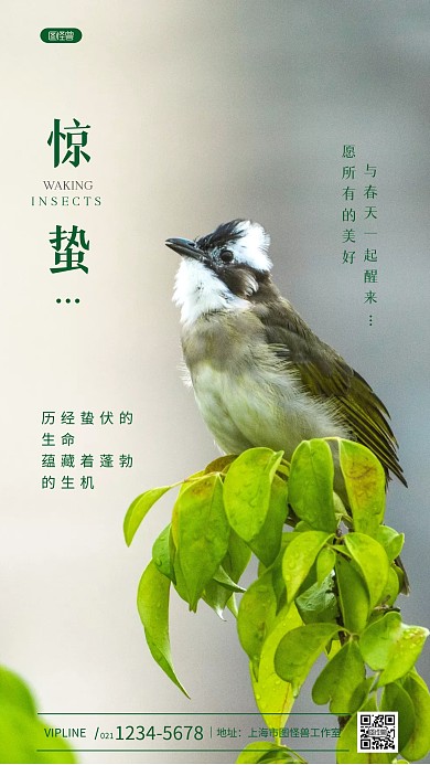 惊蛰节日节气温馨祝福摄影图海报