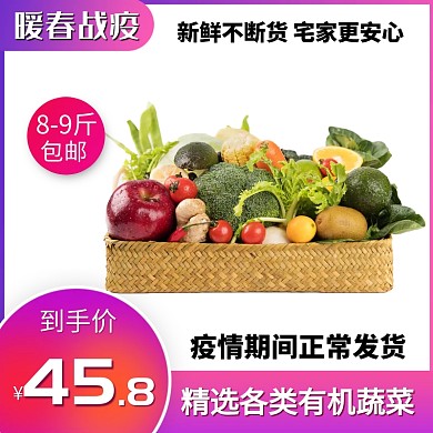 暖春战疫新鲜蔬菜电商主