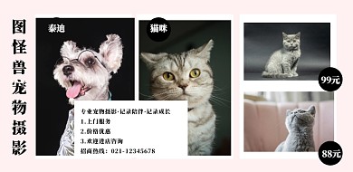 宠物摄影横版拼图