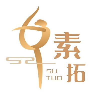 素拓LOGO中国风唯美舞蹈形体养生