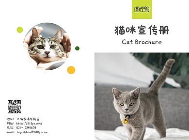 简约小清新猫咪宣传册