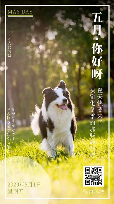 5月你好月初问候宠物摄影风手机海报