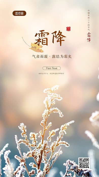 简约大气清新唯美霜降祝福问候摄影图海报