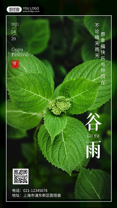 谷雨节气祝福摄影风手机海报