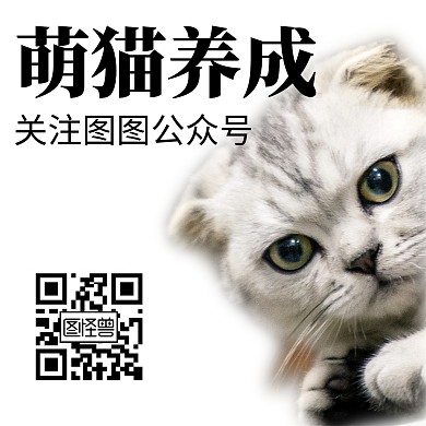 创意简约黄黑公众号正方配图猫猫狗狗