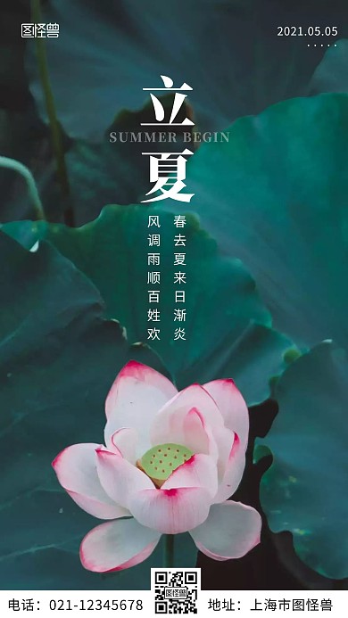 绿色简约摄影早安立夏手机海报日签