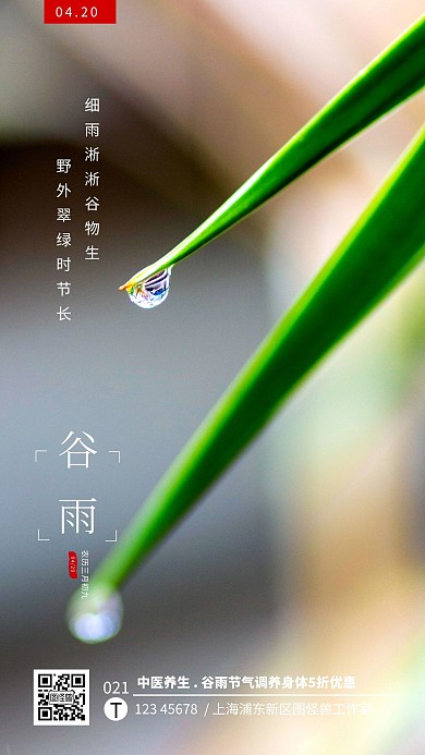 谷雨节气养生海报