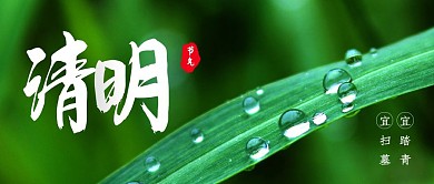 绿色创意清明节习俗公众号封面