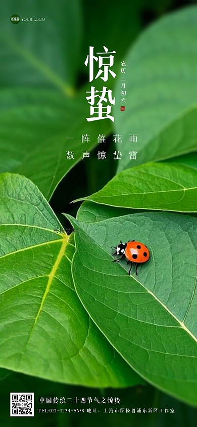 简约惊蛰祝福全屏海报.
