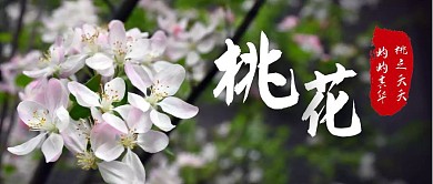 微信公众号封面桃花