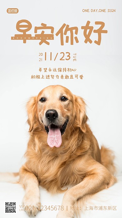 简约摄影早安你好11月可爱宠物狗励志日签
