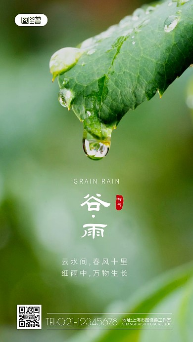 谷雨节气雨景雨滴绿叶摄影图海报
